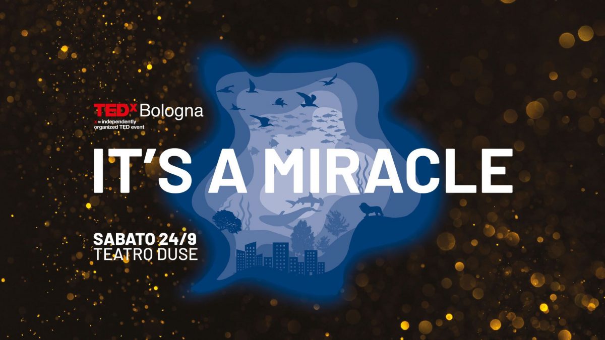 VIVERE A BOLOGNA è UN MIRACOLO