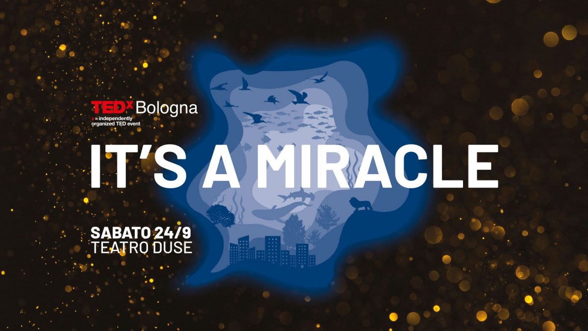 It's a Miracle TEDx Bologna