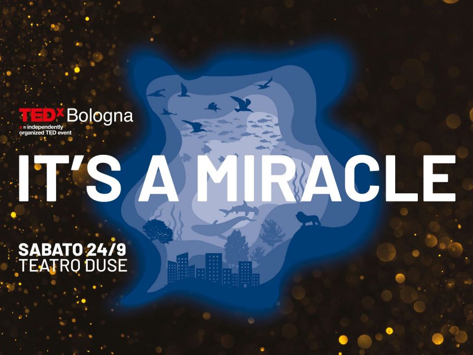 It's a Miracle TEDx Bologna
