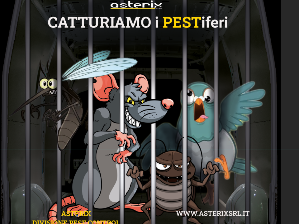 Pest Control Bologna: Disinfestazione e derattizzazione