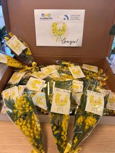 MIMOSE LOTTO MARZO 2024 