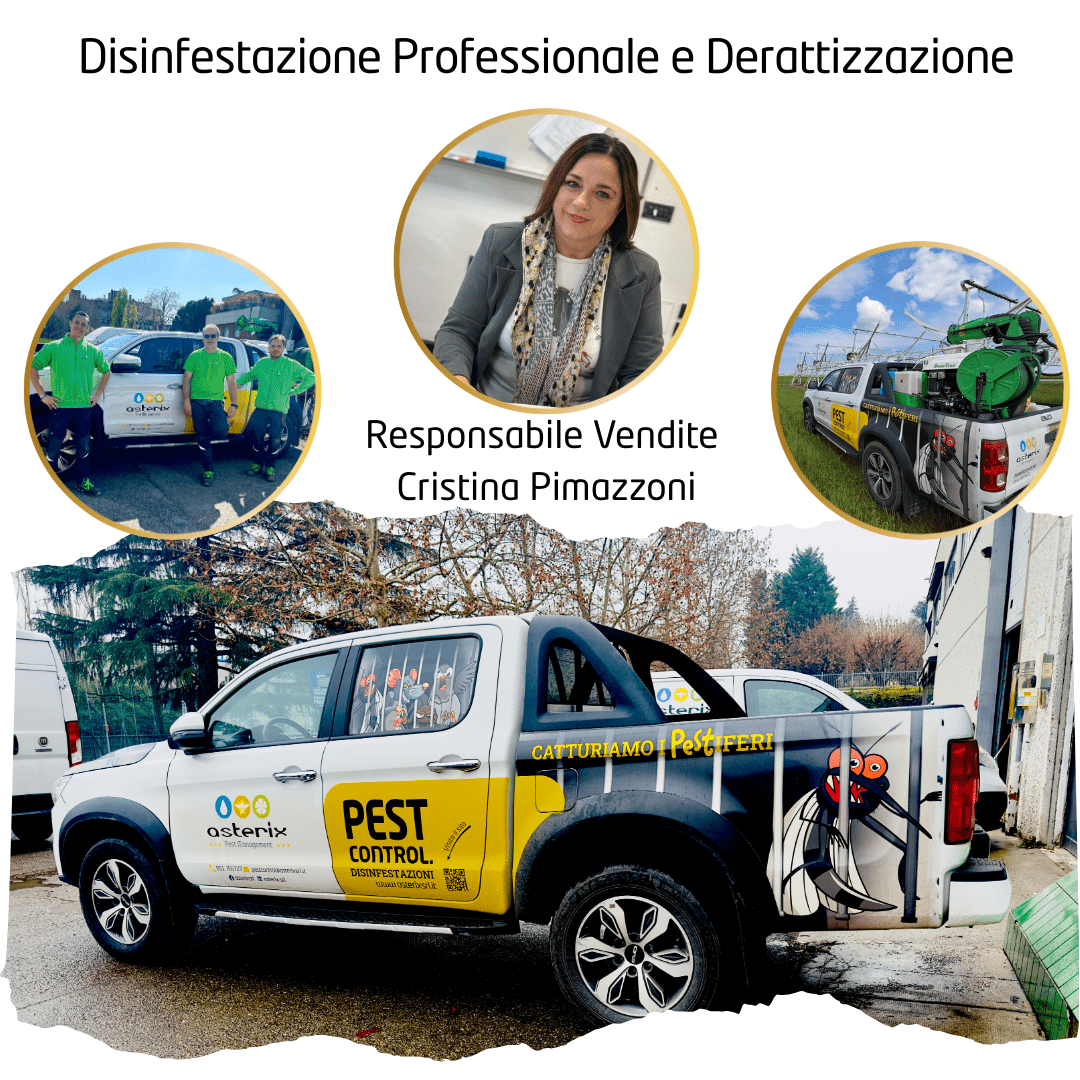 Disinfestazione Professionale e Derattizzazione Disinfestazione Professionale e Derattizzazione