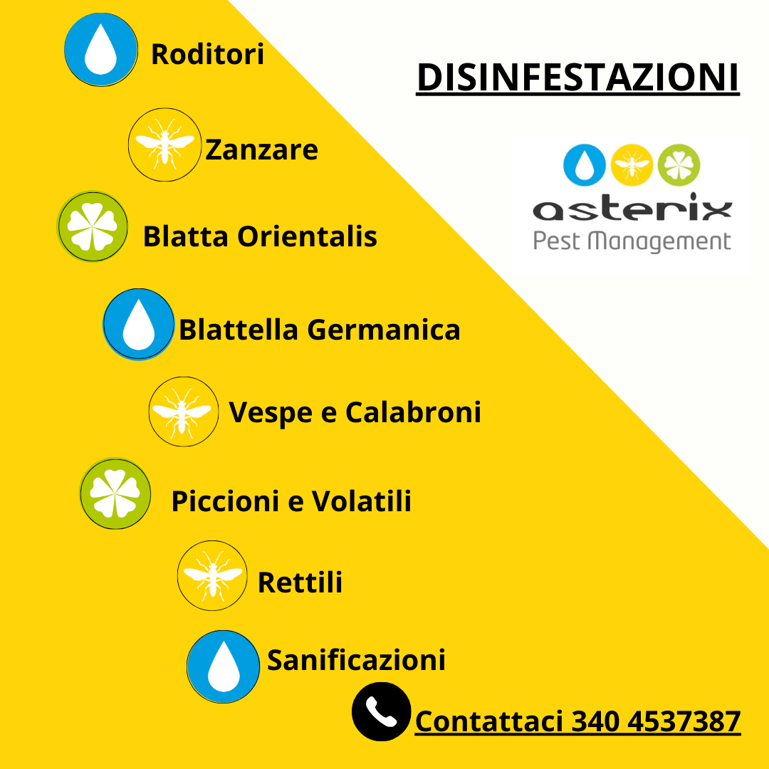 Lista dei servizi pest Lista dei servizi pest