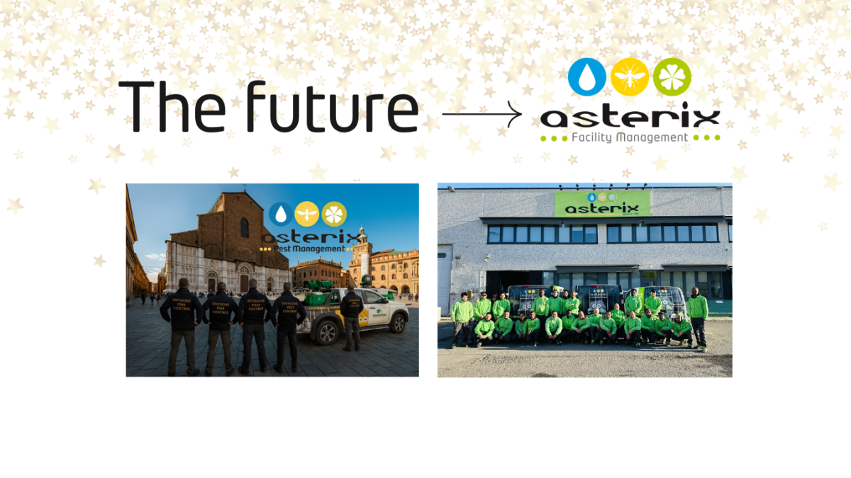 2025 Asterix il viaggio Continua