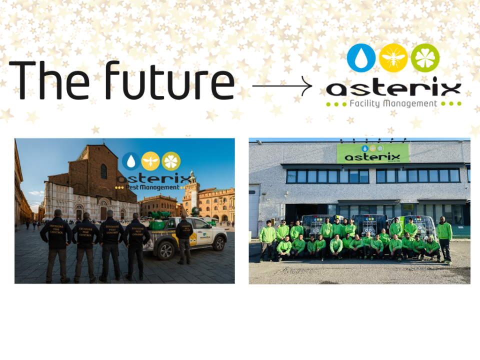 2025 Asterix il viaggio Continua